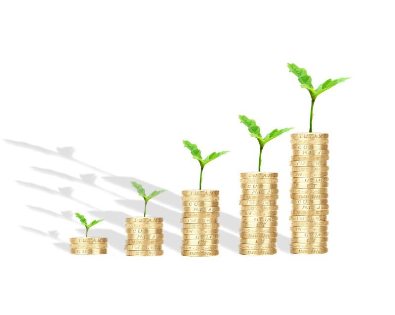 Maximize Marketing ROI