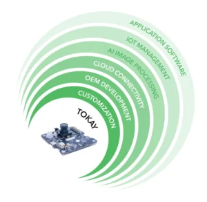 Infographics: Tokay platform service options