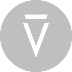 Vision Markets_icon_light-grey